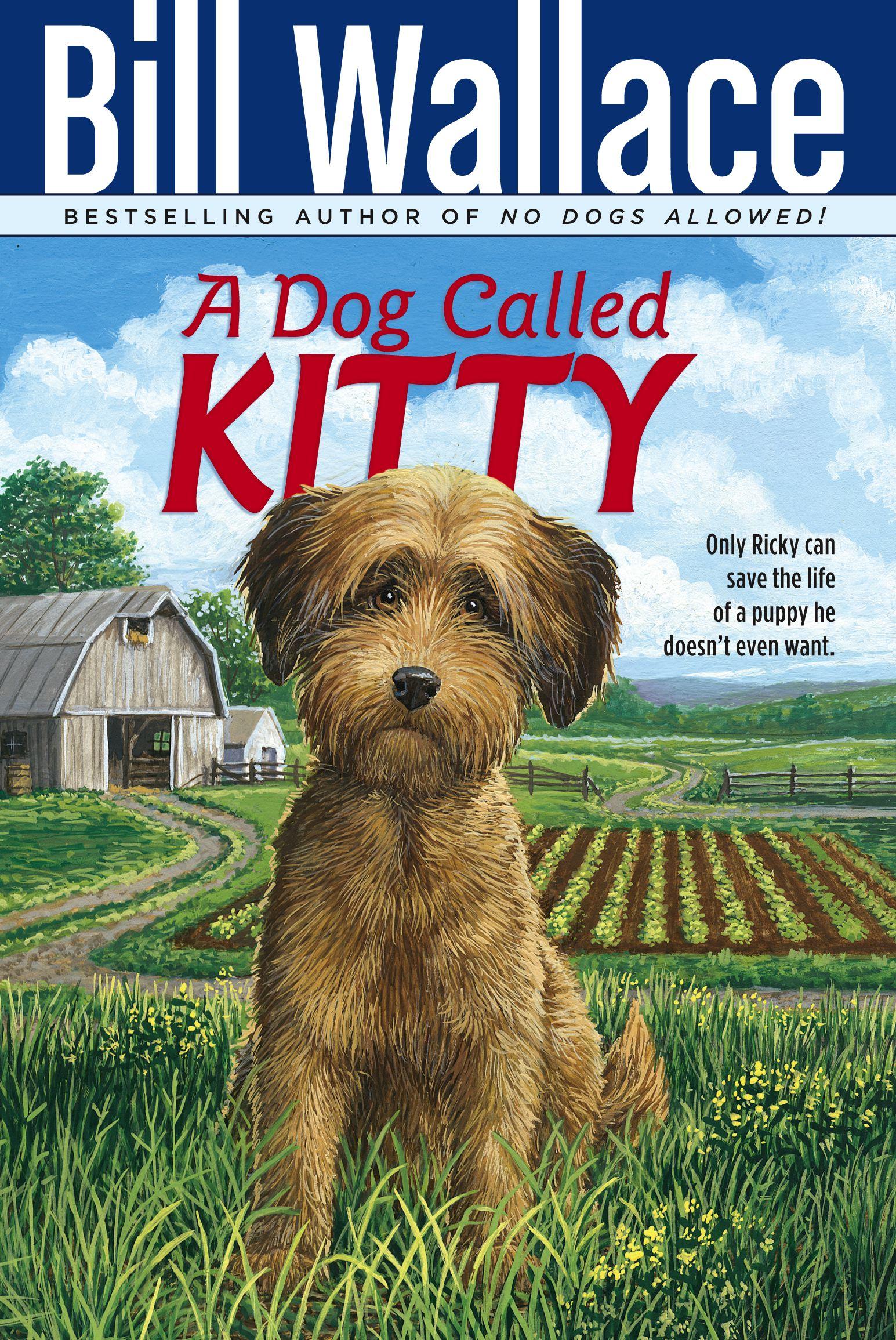 Vorderes Coverbild Dog Called Kitty