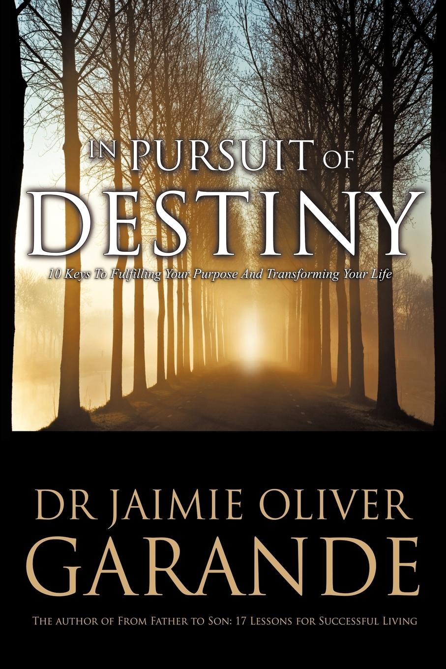 Vorderes Coverbild In Pursuit of Destiny