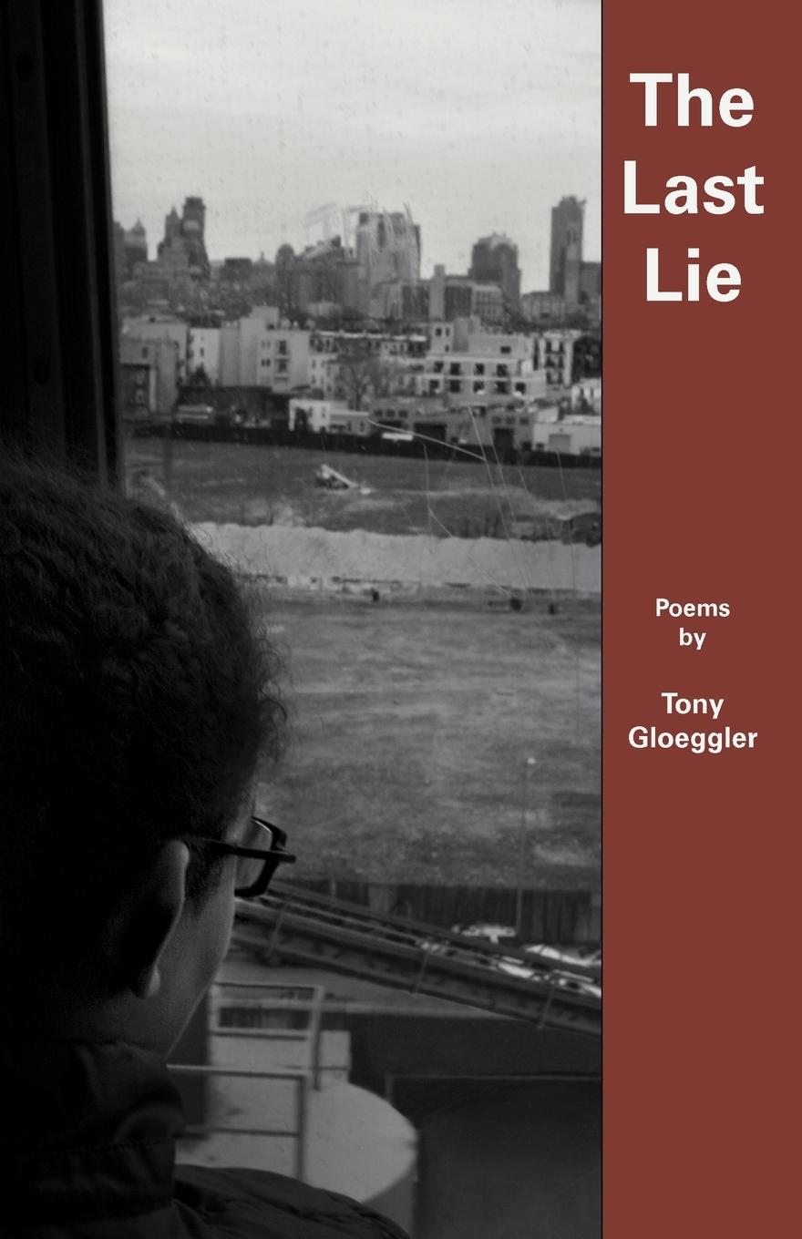 Vorderes Coverbild The Last Lie