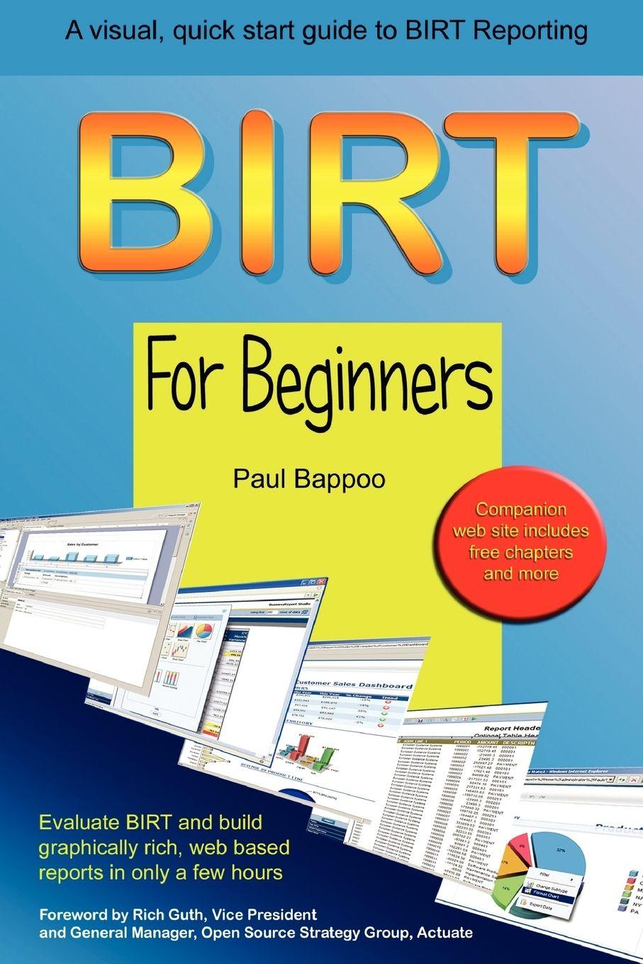 Vorderes Coverbild BIRT for Beginners
