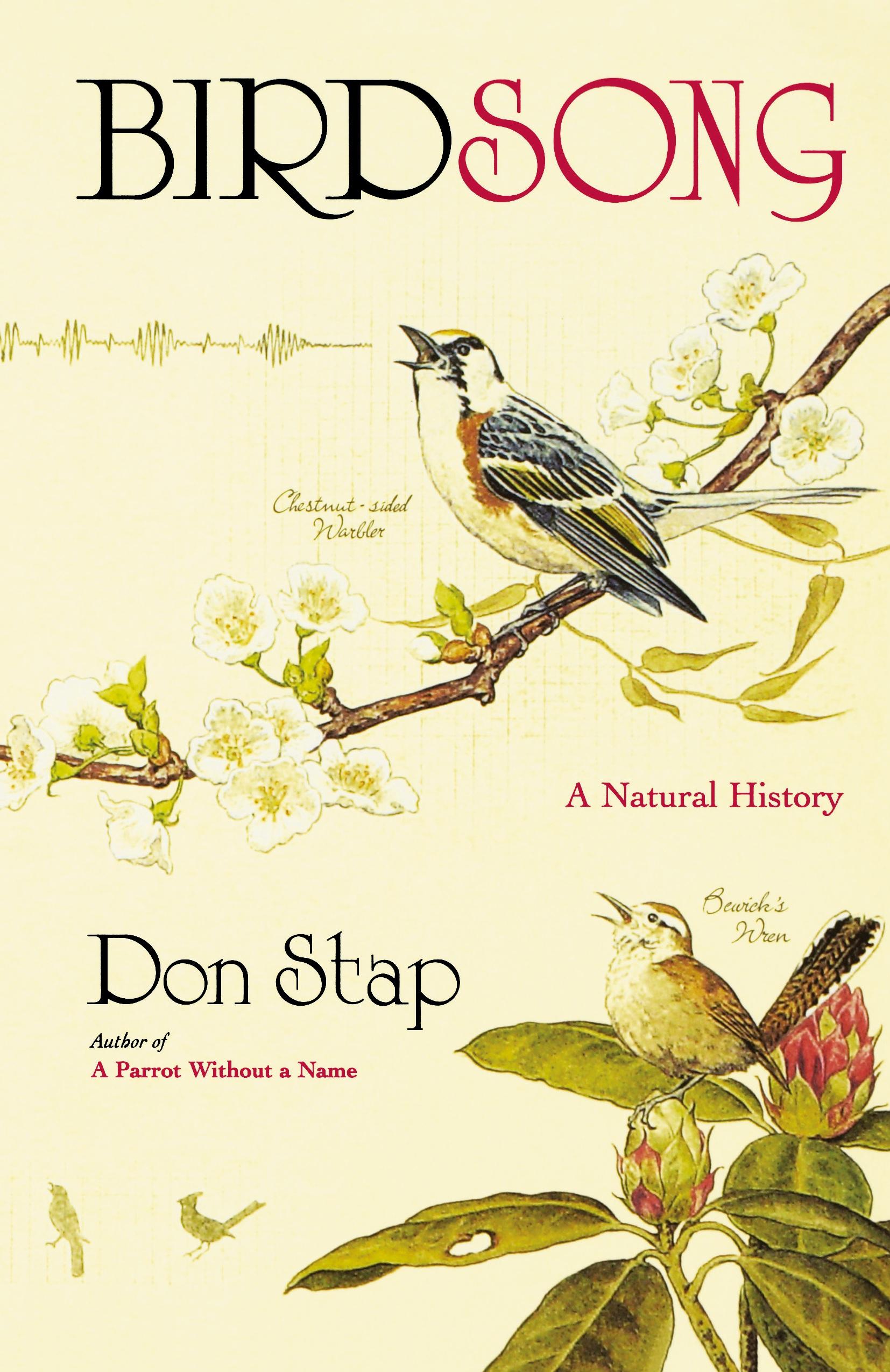 Vorderes Coverbild Birdsong