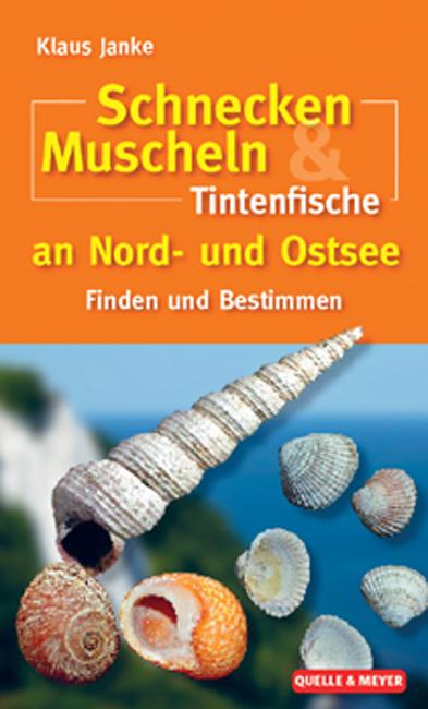 Vorderes Coverbild Schnecken, Muscheln & Tintenfische an Nord- und Ostsee