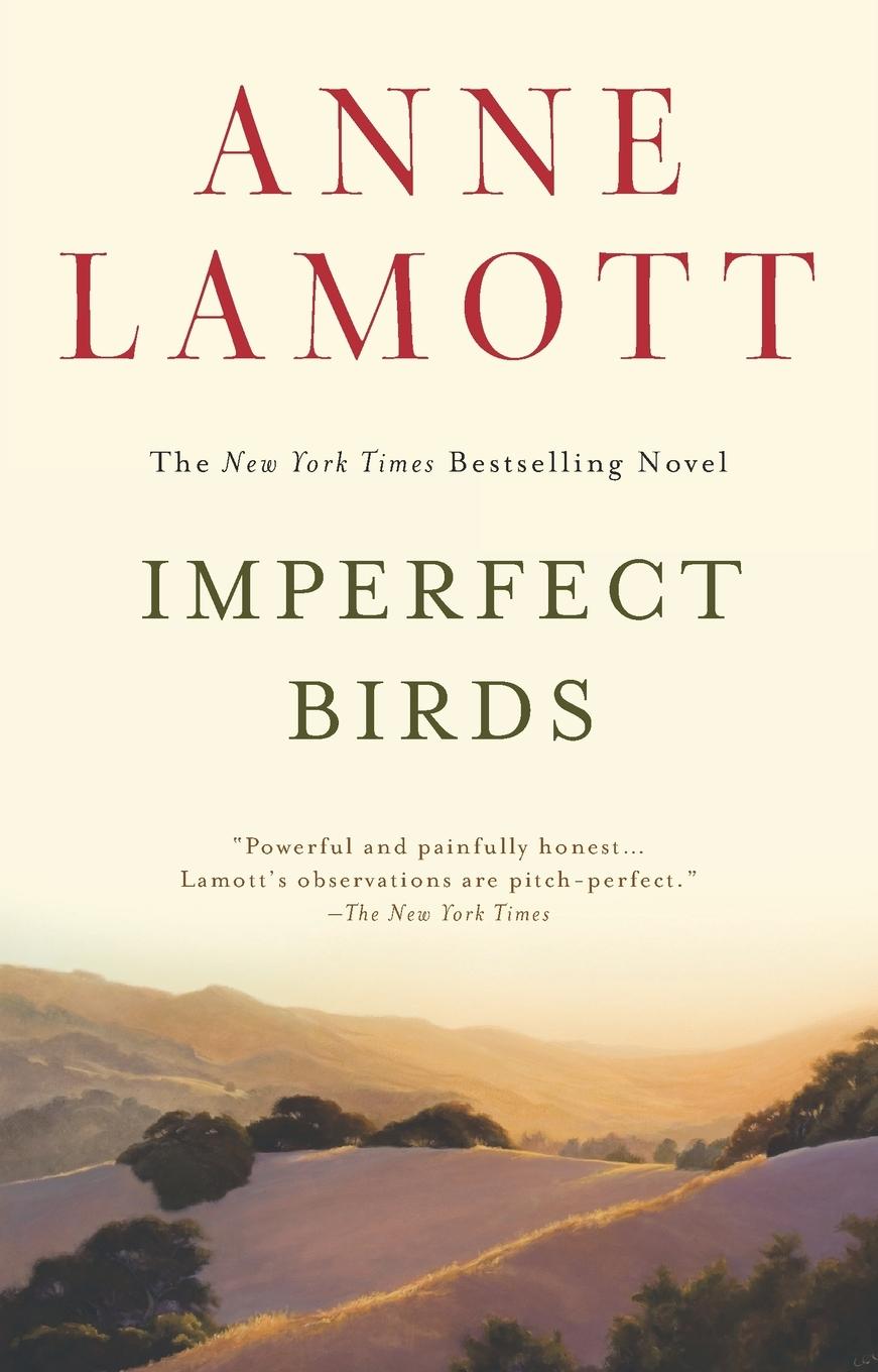 Vorderes Coverbild Imperfect Birds