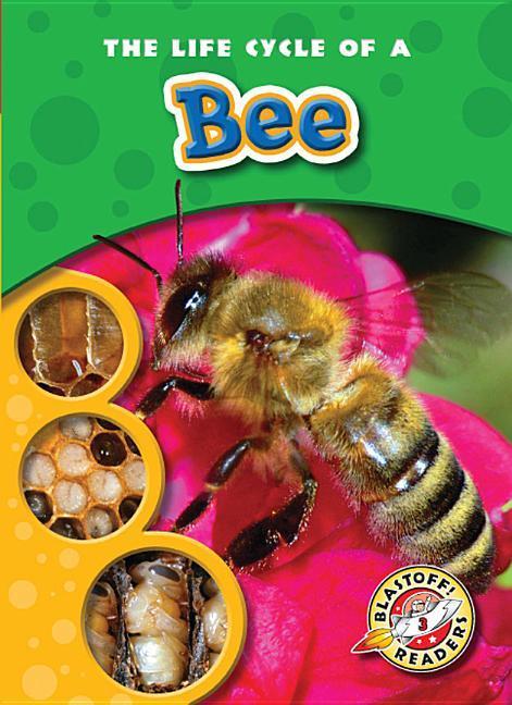 Vorderes Coverbild The Life Cycle of a Bee