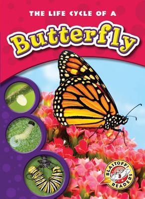 Vorderes Coverbild The Life Cycle of a Butterfly