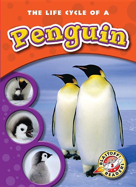 Vorderes Coverbild The Life Cycle of a Penguin