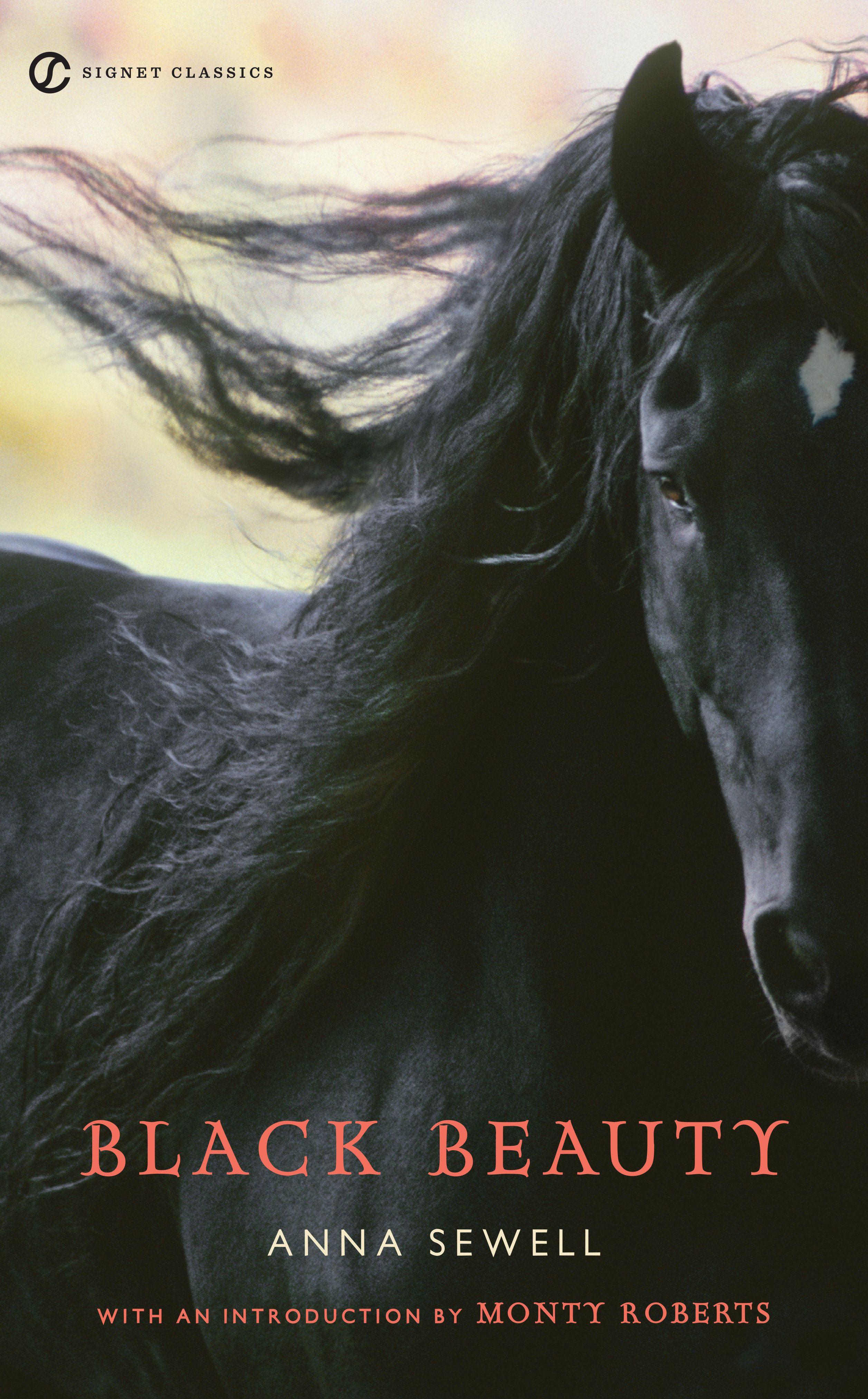 Vorderes Coverbild Black Beauty