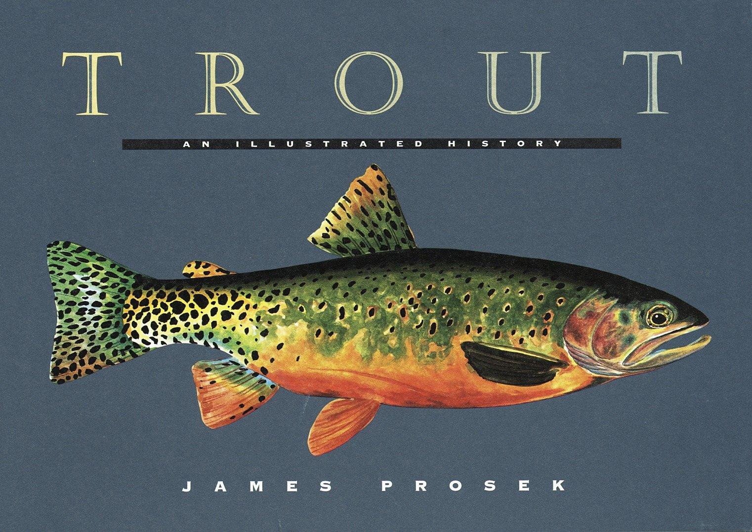 Vorderes Coverbild Trout