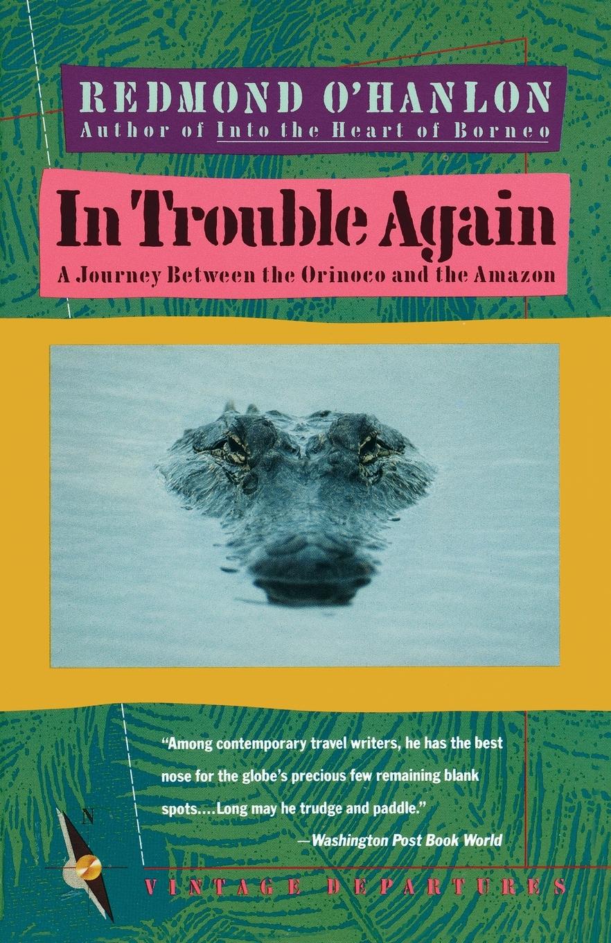 Vorderes Coverbild In Trouble Again