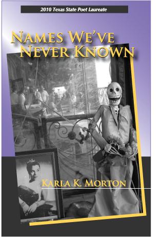 Vorderes Coverbild Names We've Never Known