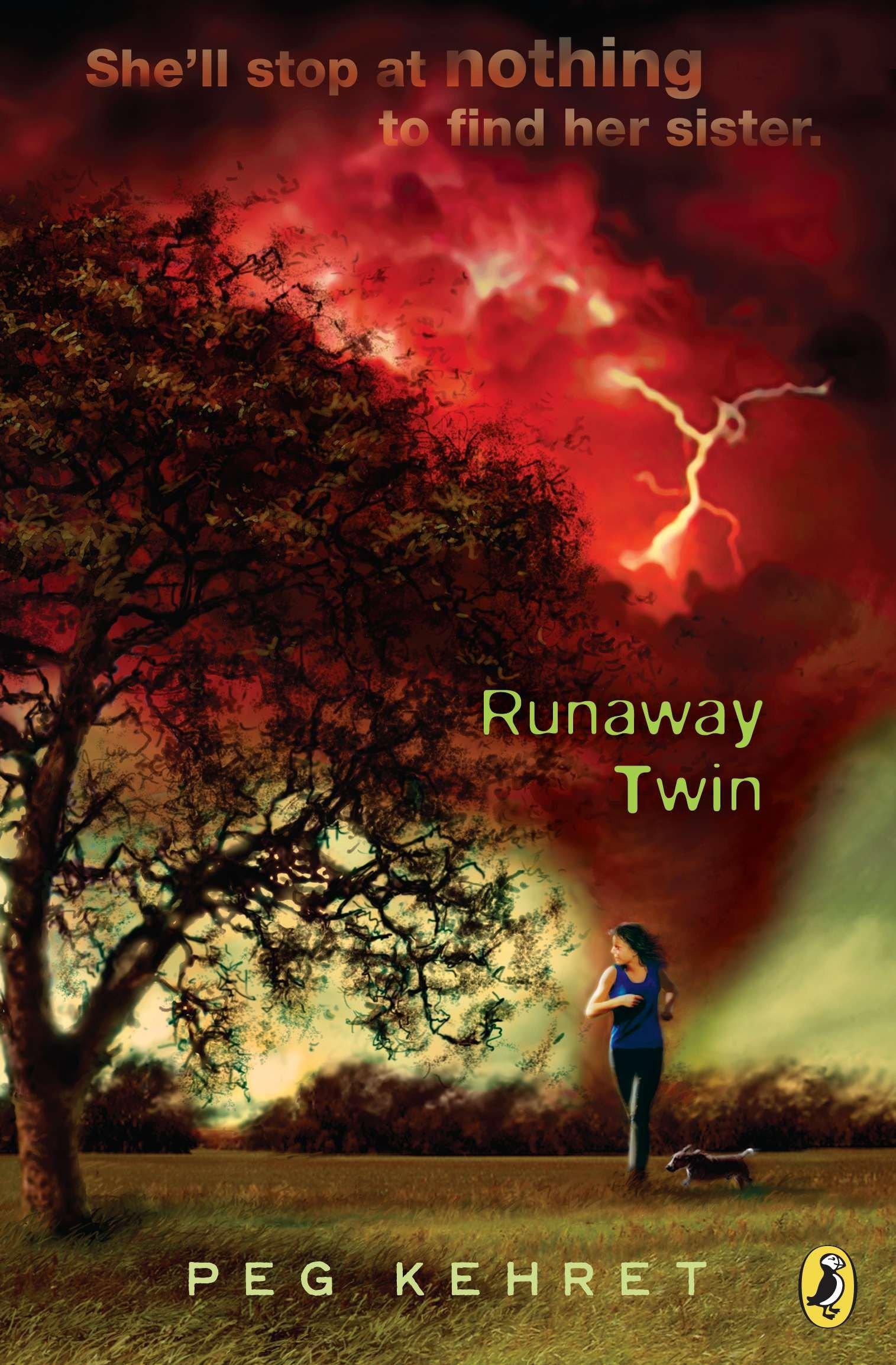 Vorderes Coverbild Runaway Twin