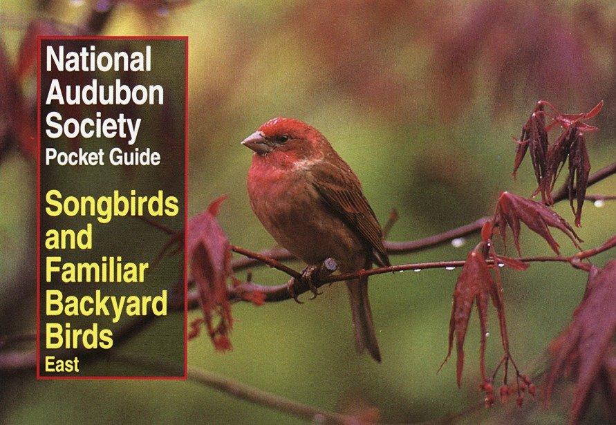 Vorderes Coverbild National Audubon Society Pocket Guide to Songbirds and Familiar Backyard Birds: Eastern Region