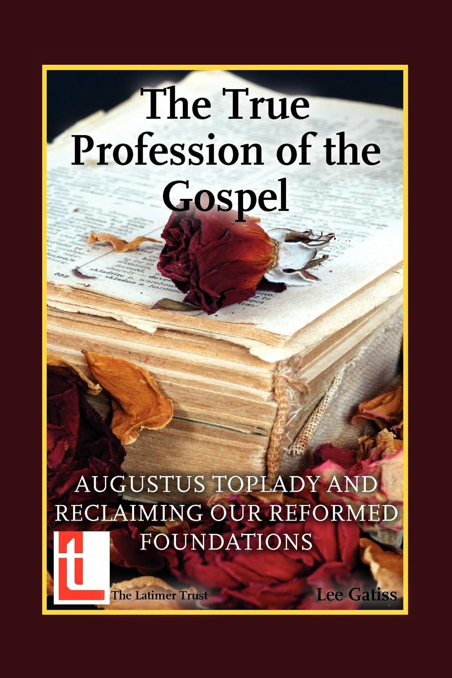Vorderes Coverbild The True Profession of the Gospel