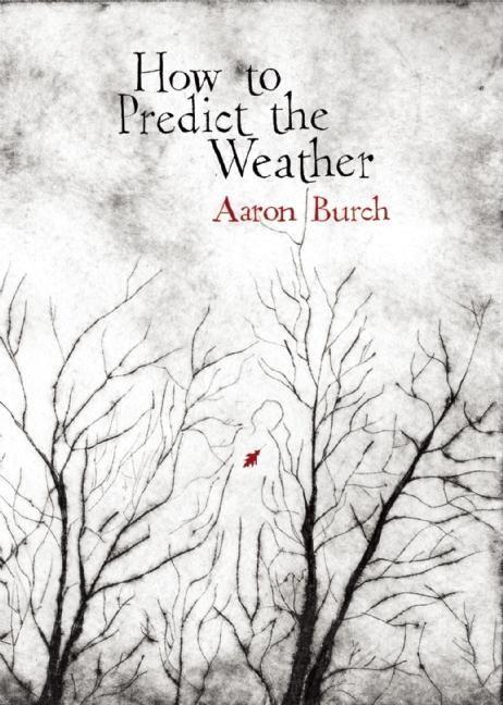 Vorderes Coverbild How to Predict the Weather