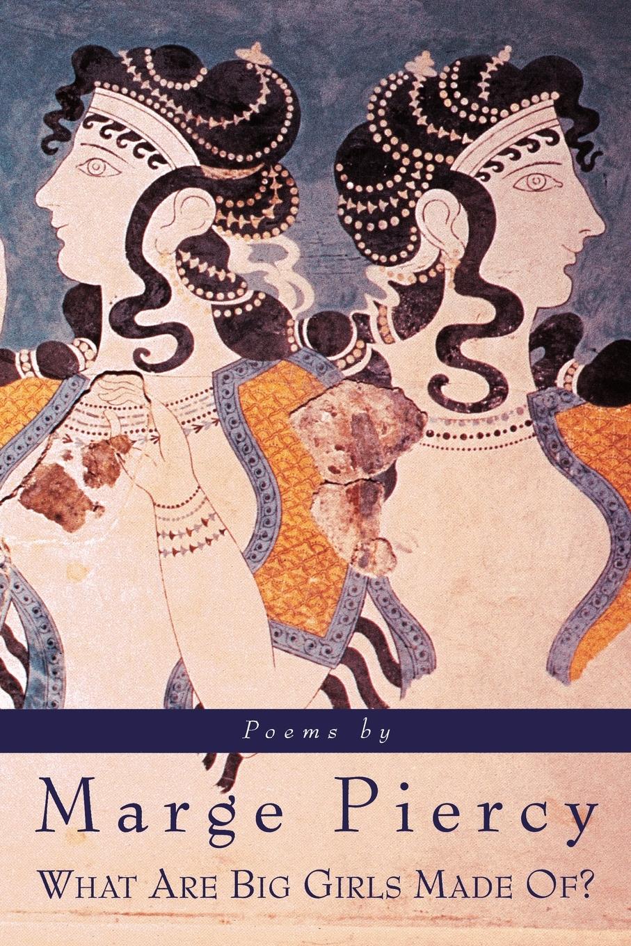 Vorderes Coverbild What Are Big Girls Made Of?