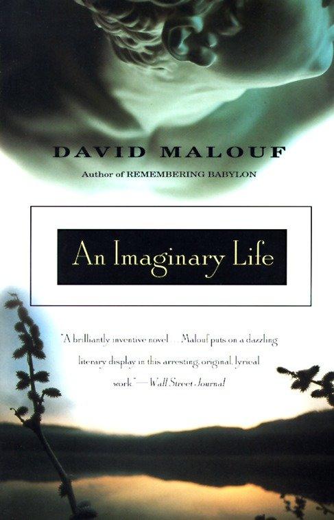 Vorderes Coverbild An Imaginary Life