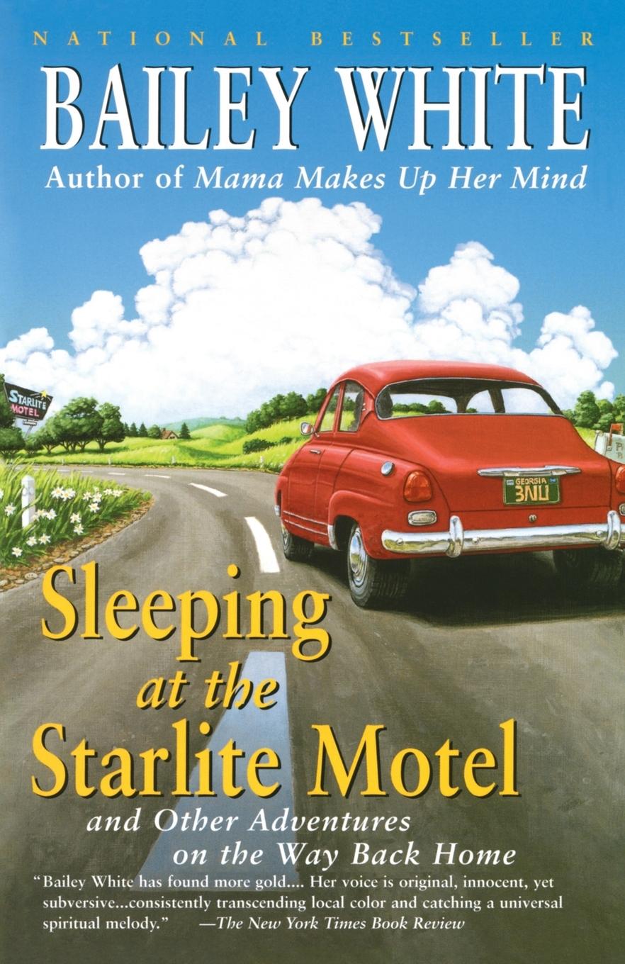 Vorderes Coverbild Sleeping at the Starlite Motel