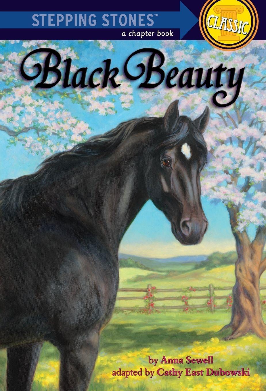 Vorderes Coverbild Black Beauty