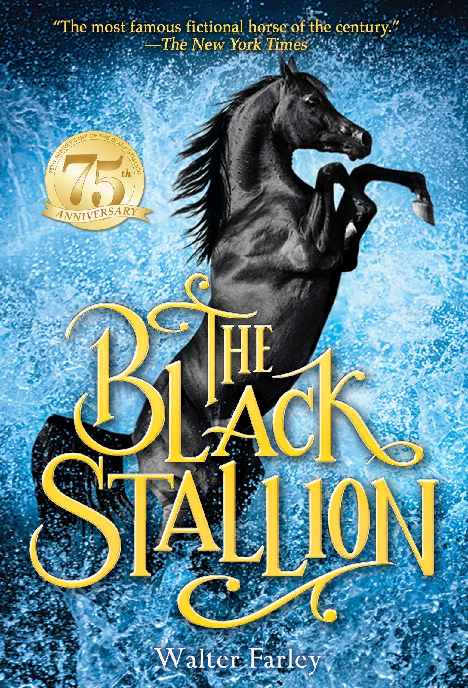 Vorderes Coverbild The Black Stallion