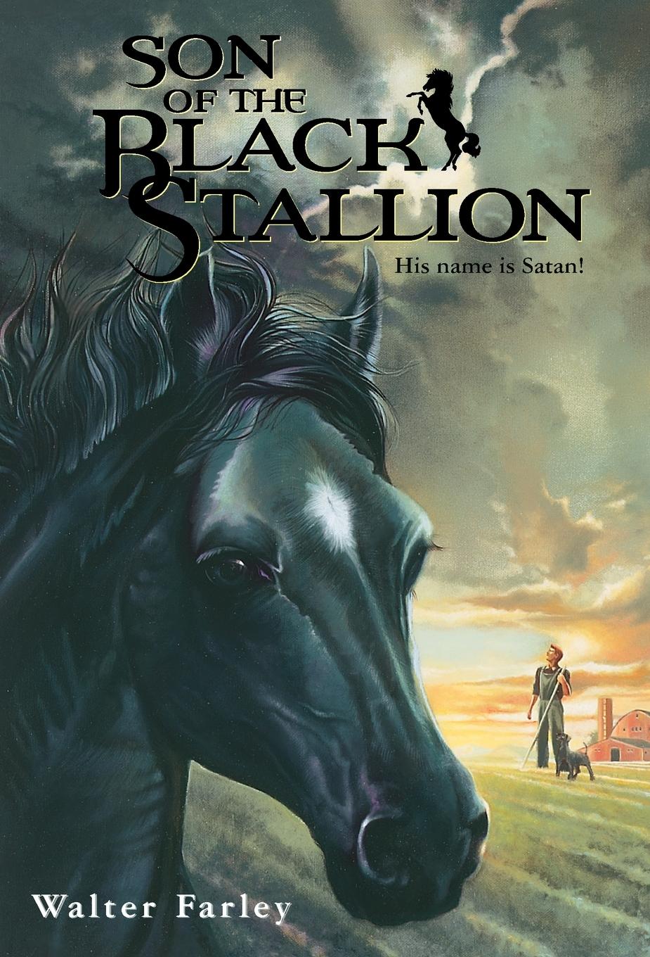 Vorderes Coverbild Son of the Black Stallion