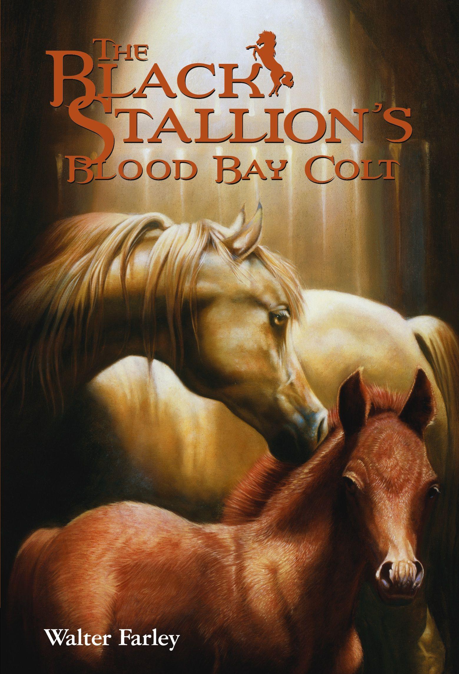 Vorderes Coverbild The Black Stallion's Blood Bay Colt