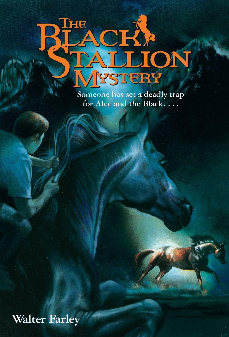 Vorderes Coverbild The Black Stallion Mystery