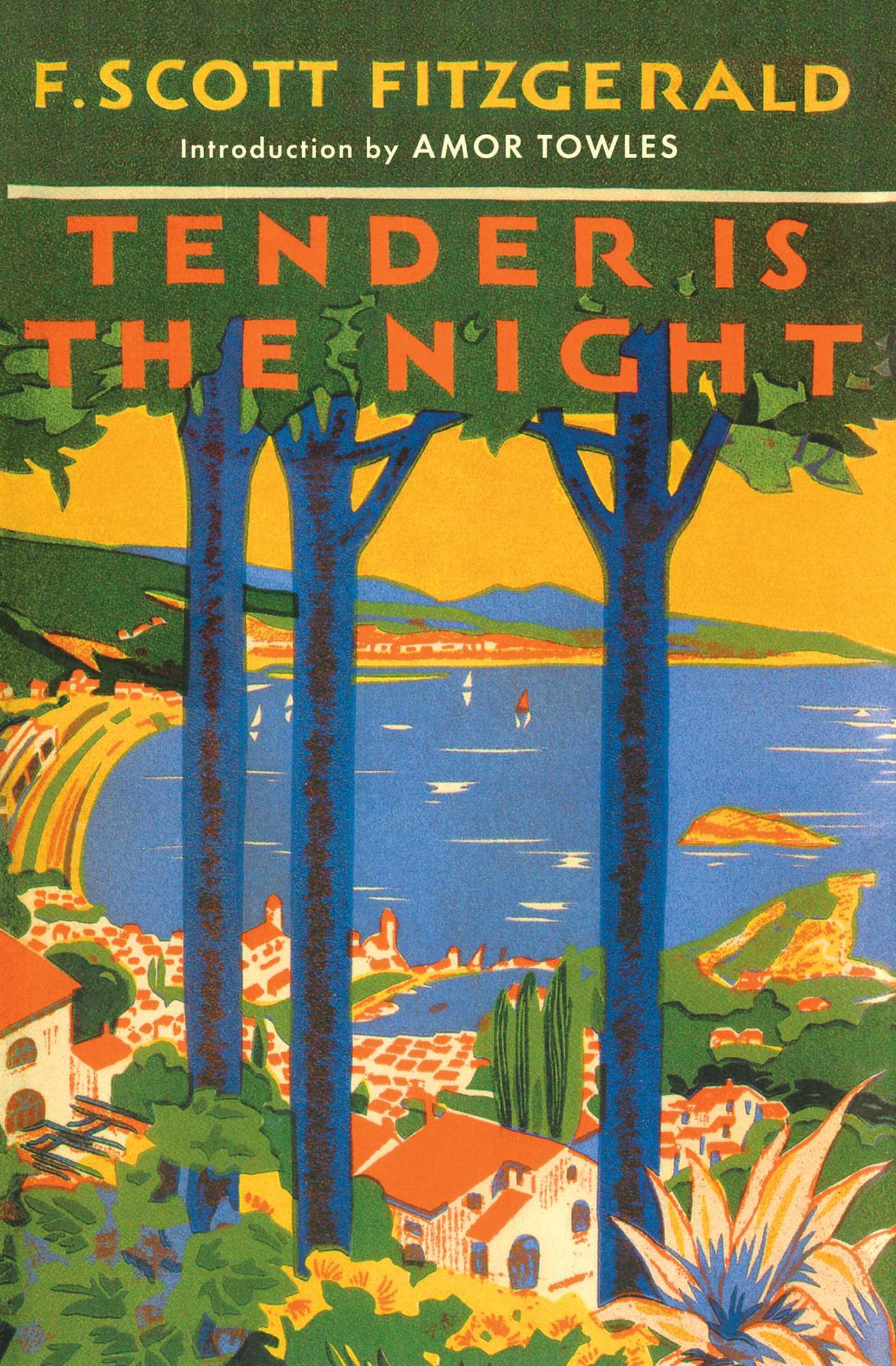 Vorderes Coverbild Tender is the Night
