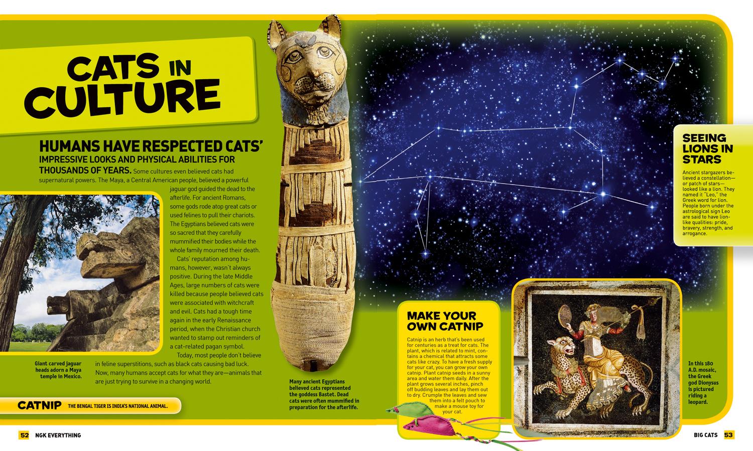 Beispielinhalt (Bild) National Geographic Kids Everything Big Cats