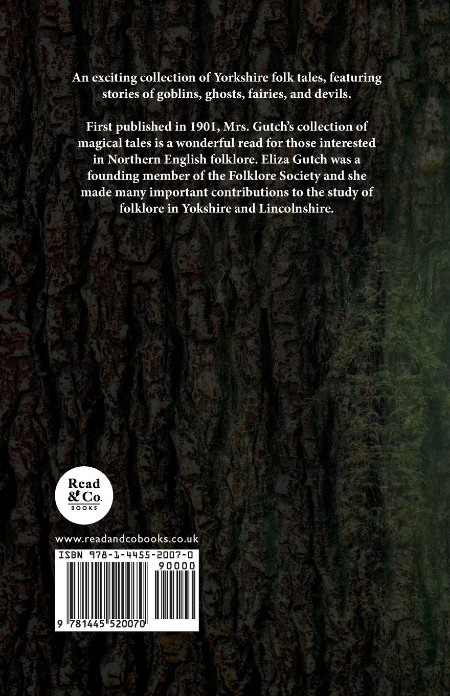 Rückseitencover Goblindom in the North Riding of Yorkshire, York and the Ainsty (Folklore History Series)
