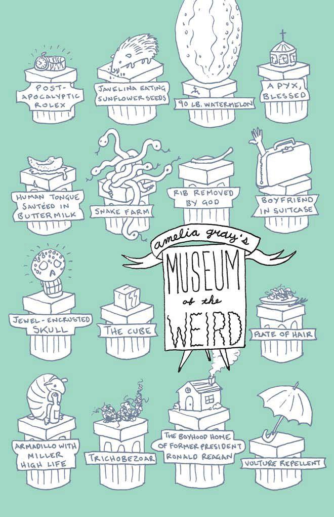 Vorderes Coverbild Museum of the Weird