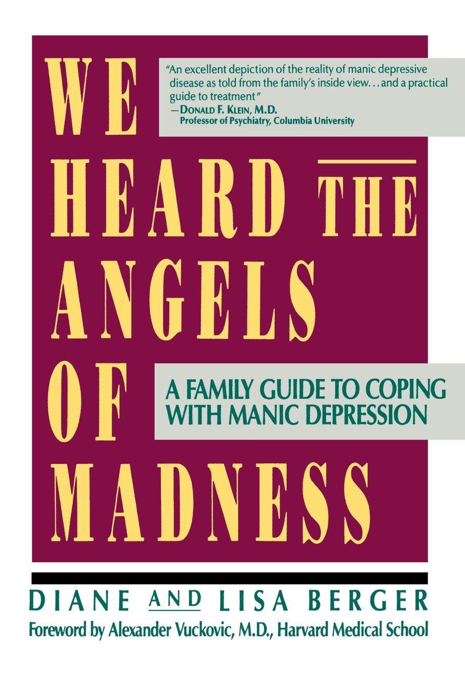 Vorderes Coverbild We Heard the Angels of Madness
