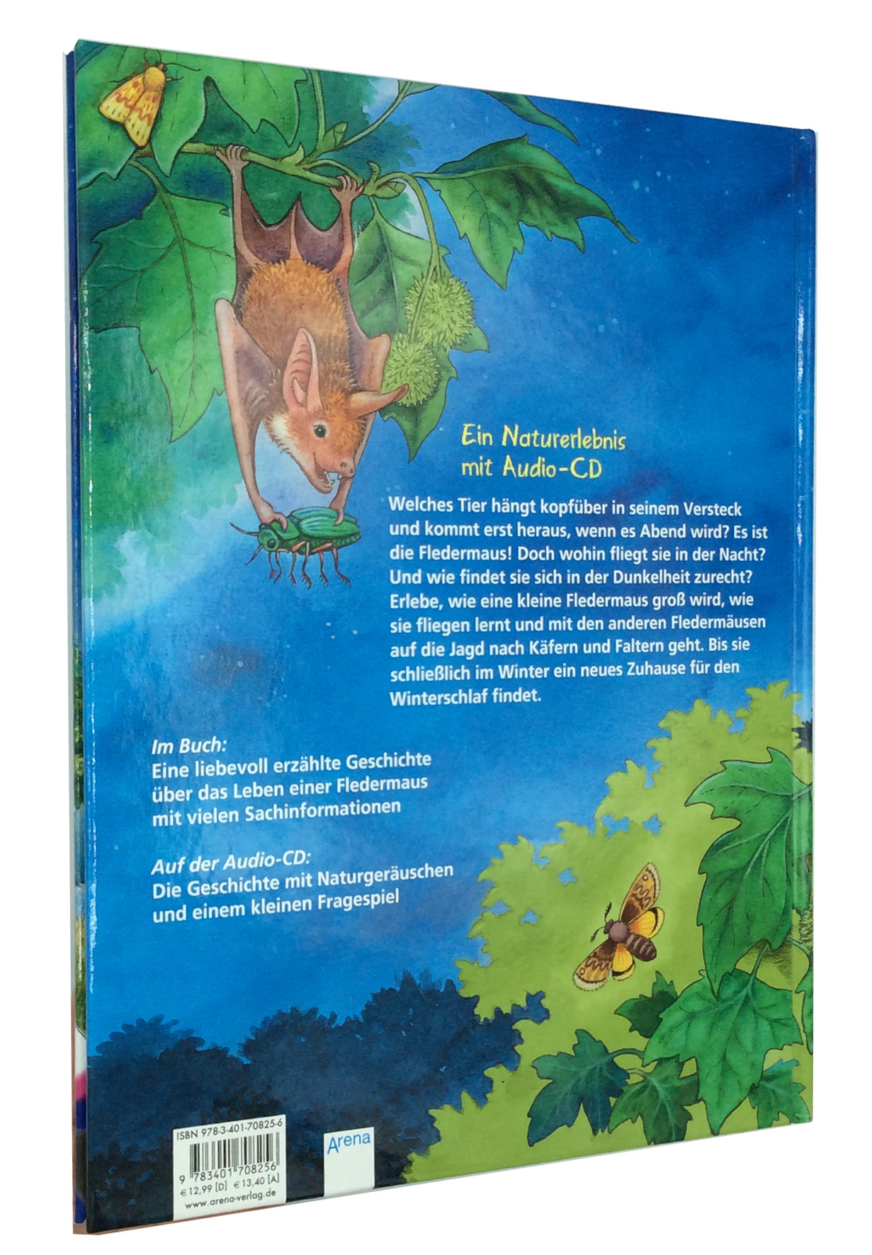 Rückseitencover Wohin fliegst du, kleine Fledermaus?