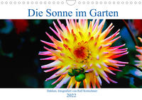 Vorderes Coverbild Die Sonne im Garten - Dahlien, fotografiert von Ralf Kretschmer. (Wandkalender immerwährend DIN A4 quer)