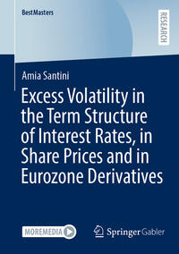 Vorderes Coverbild Excess Volatility in the Term Structure of Interest Rates, in Share Prices and in Eurozone Derivatives