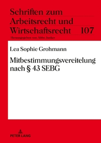 Vorderes Coverbild Mitbestimmungsvereitelung nach § 43 SEBG