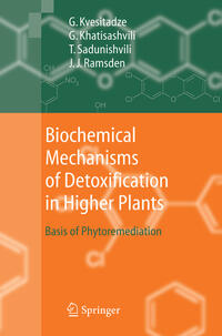 Vorderes Coverbild Biochemical Mechanisms of Detoxification in Higher Plants