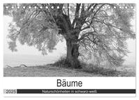 Vorderes Coverbild Bäume - Naturschönheiten in schwarz-weiß (Tischkalender 2025 DIN A5 quer), CALVENDO Monatskalender