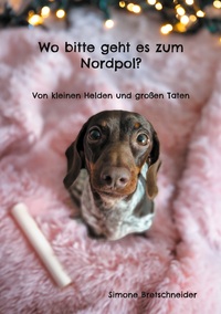Vorderes Coverbild Wo bitte geht es zum Nordpol?
