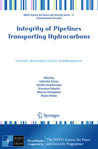 Vorderes Coverbild Integrity of Pipelines Transporting Hydrocarbons