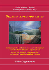 Vorderes Coverbild Organisationslandschaften