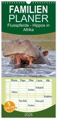 Vorderes Coverbild Familienplaner 2025 - Flusspferde Magie des Augenblicks - Hippos in Afrika mit 5 Spalten (Wandkalender, 21 x 45 cm) CALVENDO