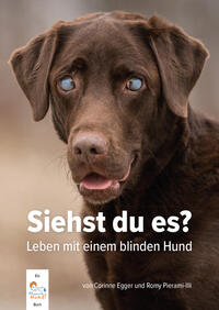 Vorderes Coverbild Siehst du es?