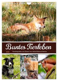 Vorderes Coverbild Buntes Tierleben (Wandkalender 2025 DIN A4 hoch), CALVENDO Monatskalender