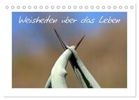 Vorderes Coverbild Weisheiten über das Leben (Tischkalender 2025 DIN A5 quer), CALVENDO Monatskalender