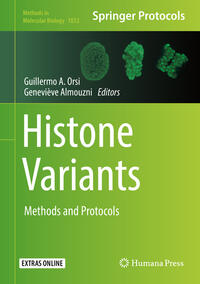 Vorderes Coverbild Histone Variants