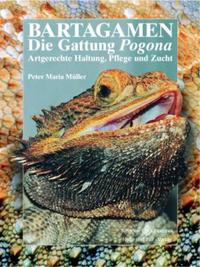 Vorderes Coverbild Bartagamen - Die Gattung Pogona