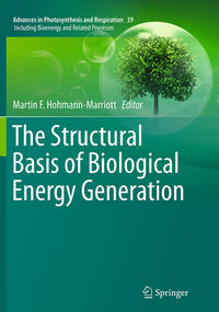 Vorderes Coverbild The Structural Basis of Biological Energy Generation
