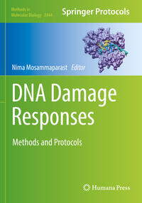Vorderes Coverbild DNA Damage Responses