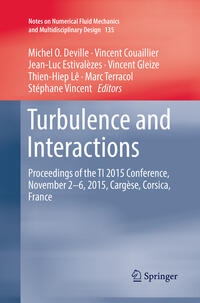 Vorderes Coverbild Turbulence and Interactions