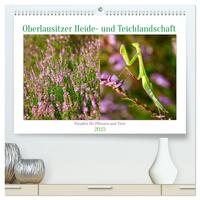 Vorderes Coverbild Oberlausitzer Heide- und Teichlandschaft (hochwertiger Premium Wandkalender 2025 DIN A2 quer), Kunstdruck in Hochglanz